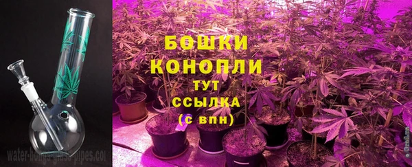 спиды Липки