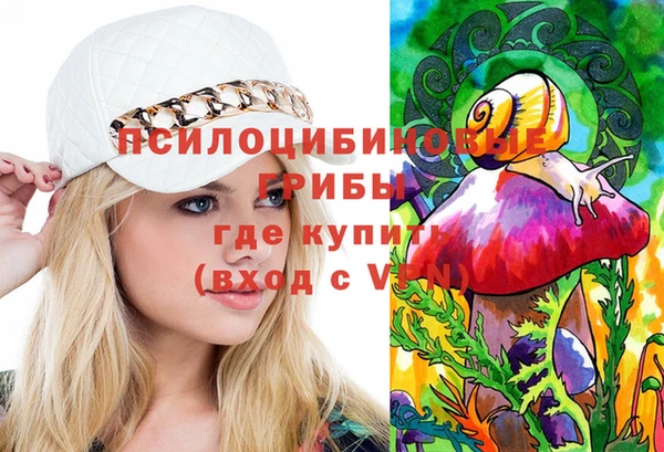 спиды Липки