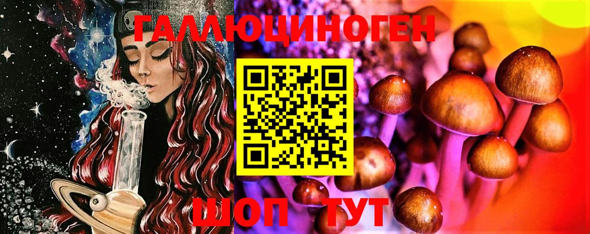 Псилоцибиновые грибы Psilocybine cubensis Джанкой