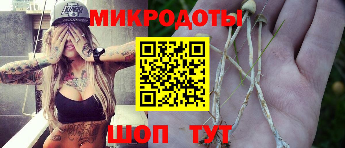 Псилоцибиновые грибы мицелий  даркнет сайт  Галлюциногенные грибы Psilocybe  Джанкой 