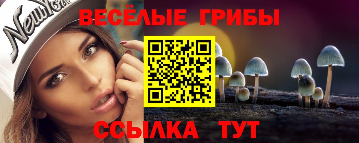 Галлюциногенные грибы GOLDEN TEACHER  Вход с VPN  Галлюциногенные грибы Psilocybe  Джанкой 