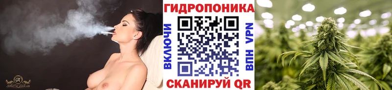 Шишки марихуана сатива  купить наркотики цена  Джанкой 